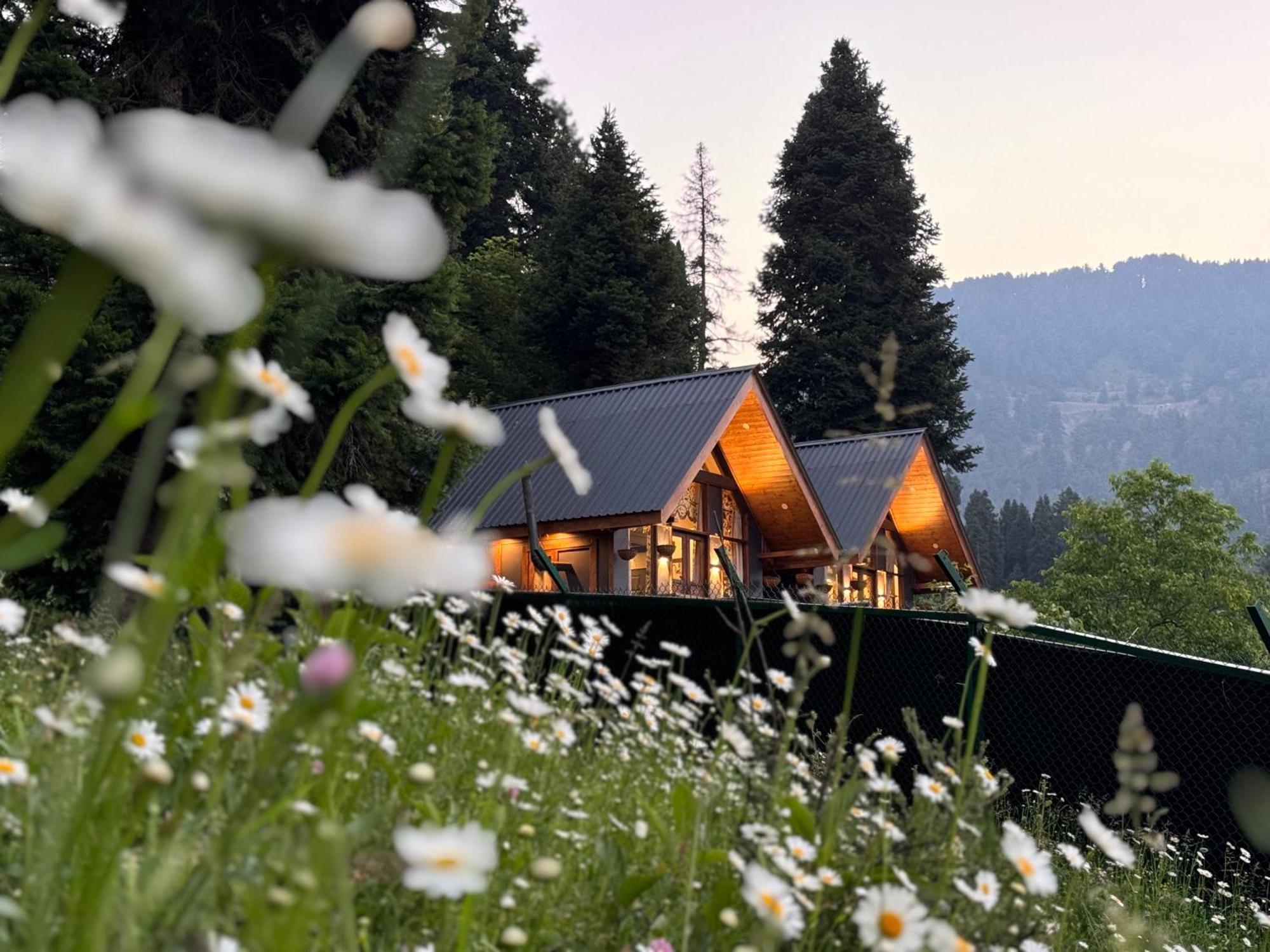 Villa Solomons Gray Tangmarg Exterior foto