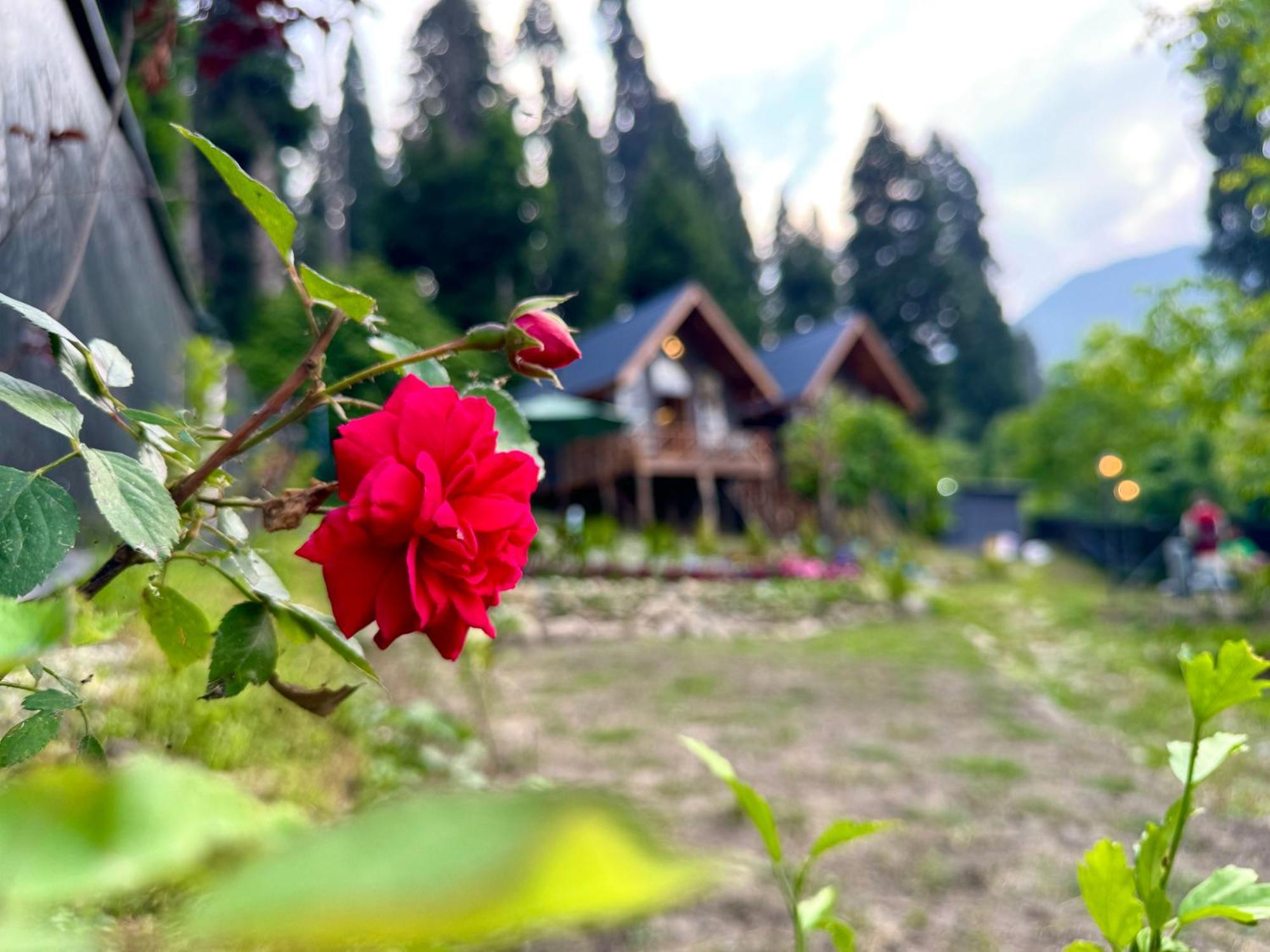 Villa Solomons Gray Tangmarg Exterior foto